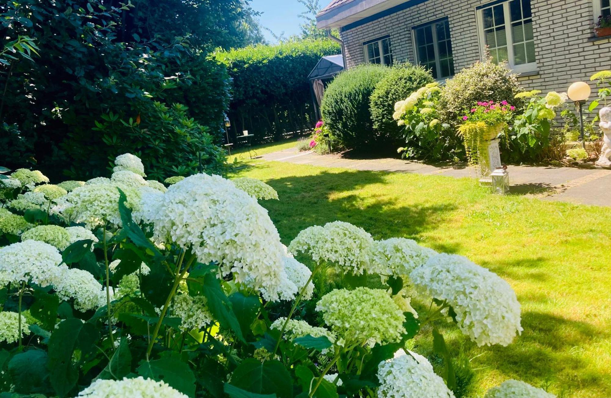 Ferienwohnung Im Haus Annabelle Weeze Bagian luar foto